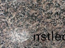 新皇室(shi)啡(fei)