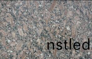 皇(huang)室啡(fei)玫瑰(gui)长花